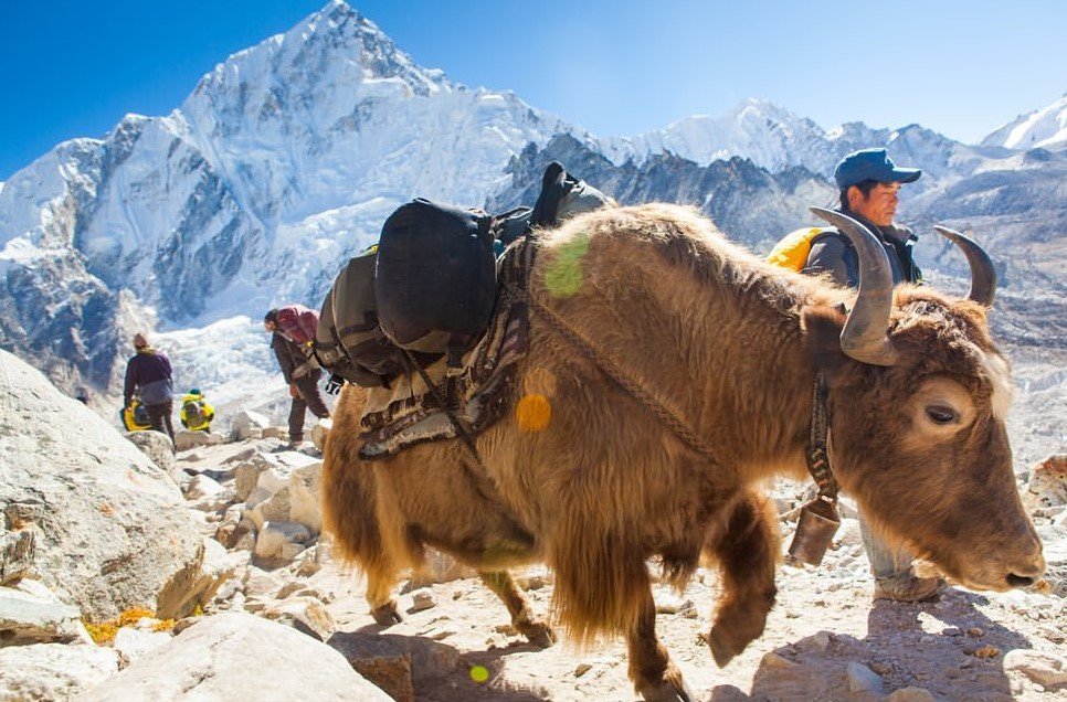 Everest Base Camp Trek in March