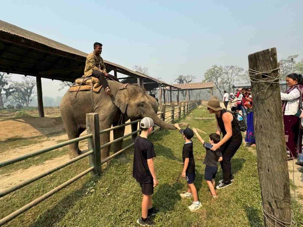 Elephant breeding center in Chitwan National Park, Nepal