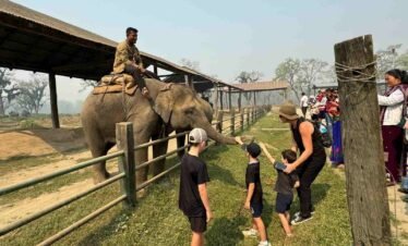 Elephant breeding center in Chitwan National Park, Nepal