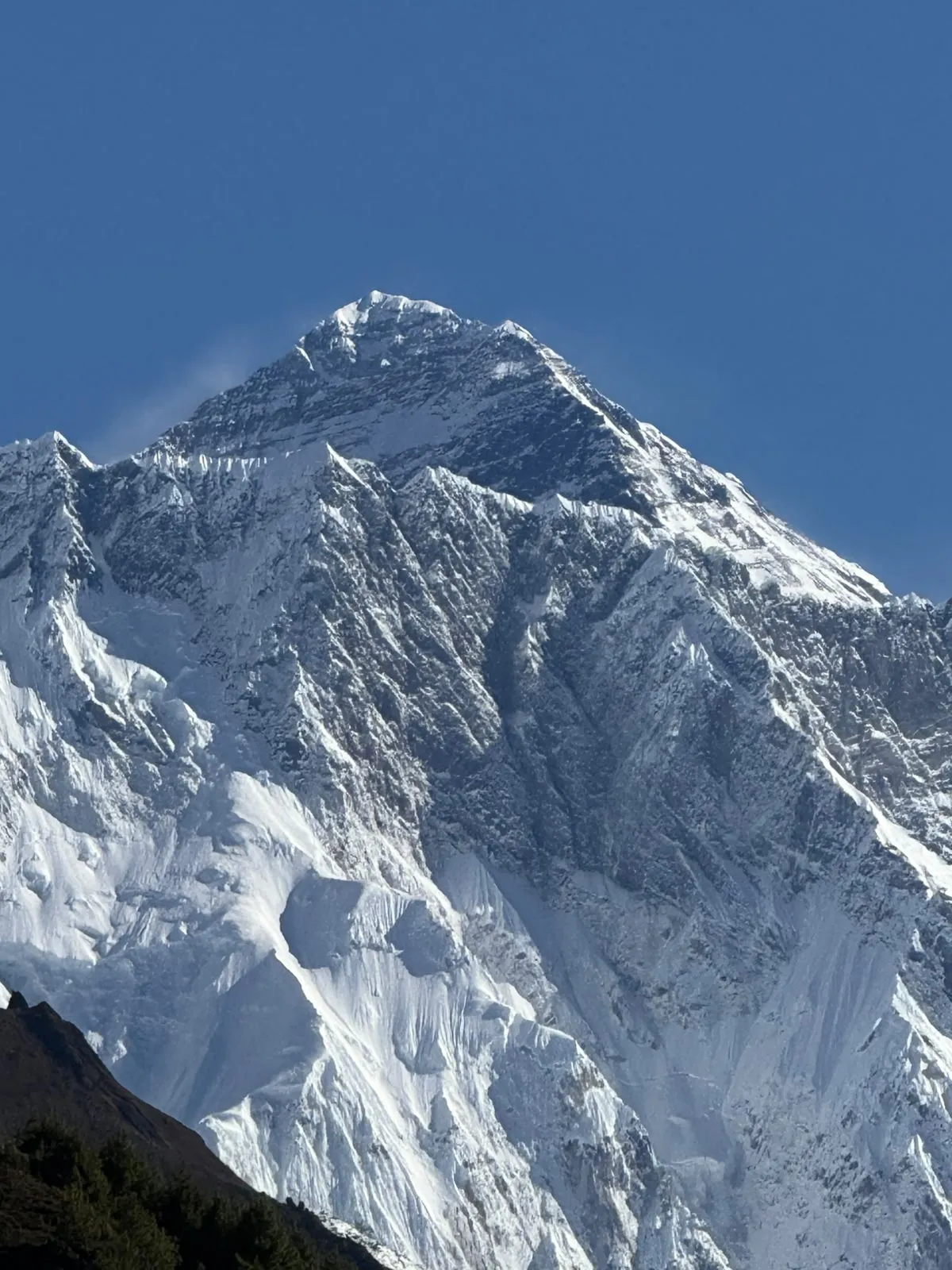 how to choose best everest base camp trek company