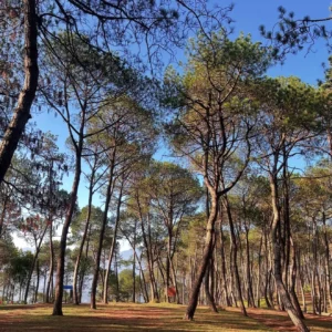 Chpampadevi Hike (1)