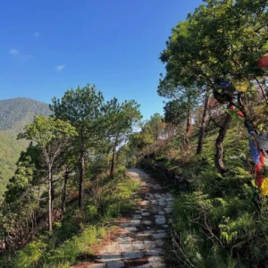 Chpampadevi Hike (2)