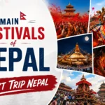 Main Festival of Nepal