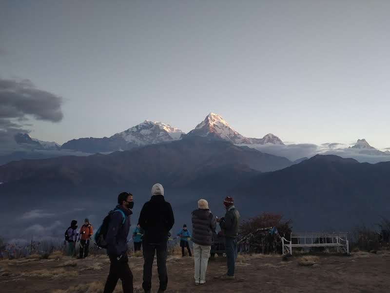 Trail through rhododendron forest on the Ghorepani Poon Hill Trek