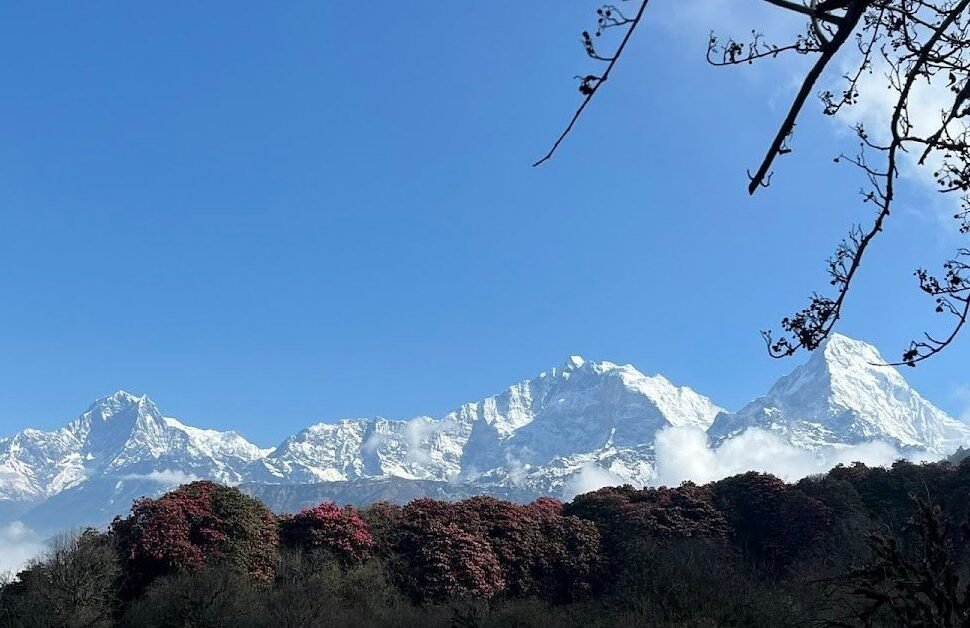 Ghorepani Poon Hill Trek itinerary day by day