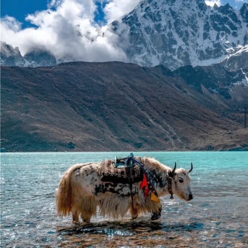 Everest Base Camp Trek With Gokyo valley Trek