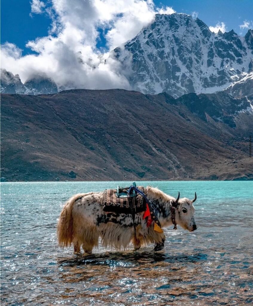 Everest Base Camp Trek With Gokyo valley Trek