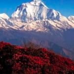 Ghorepani Poon Hill Trek