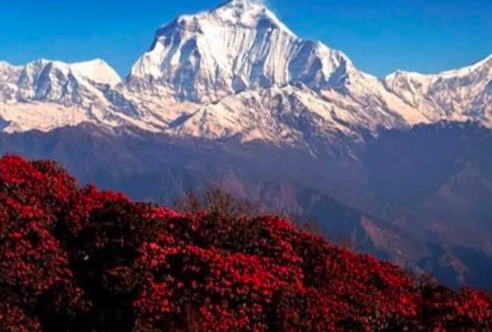 Ghorepani Poon Hill Trek