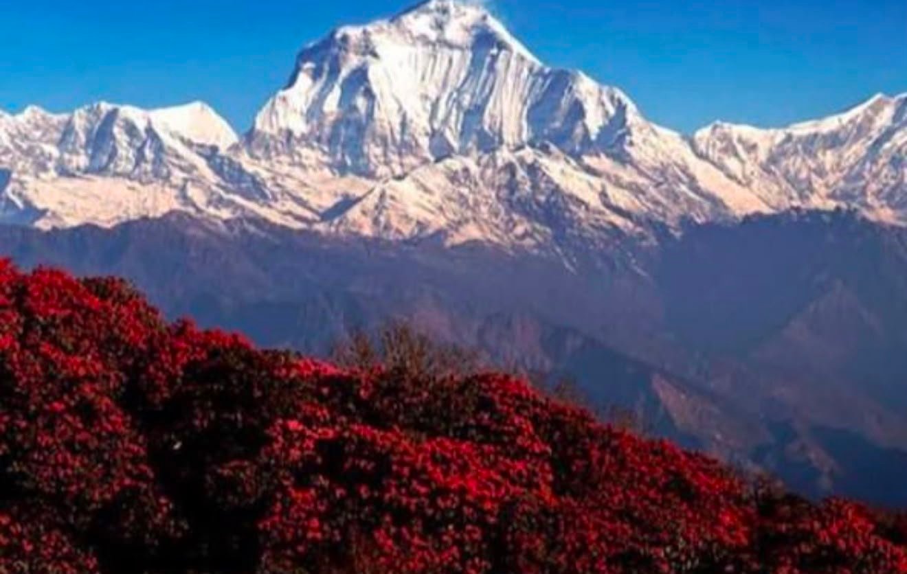 Ghorepani Poon Hill Trek