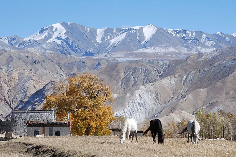 Upper Mustang Trek in August