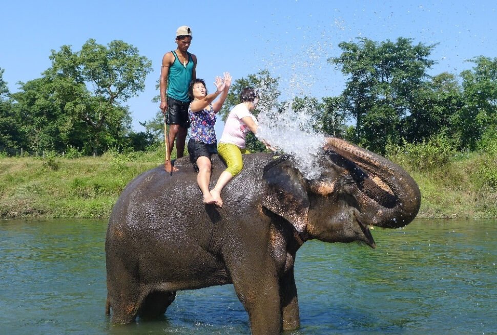 Chitwan National Park Jungle Safari